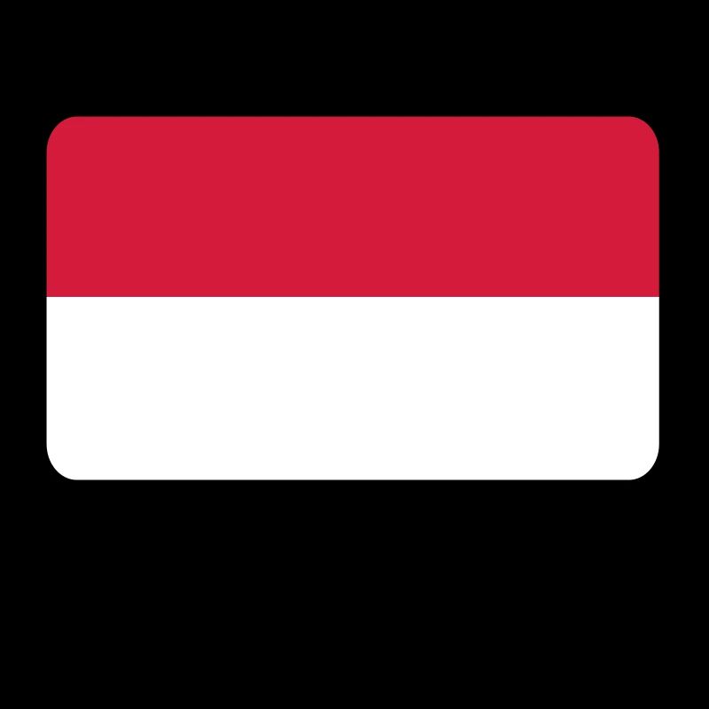 Drapeau national de l Indonésie