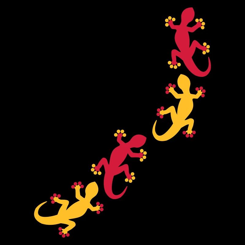 Vier Geckos 2c