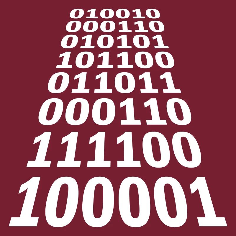 Binary Code Program Language
