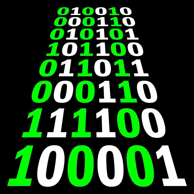 Binary Code Program Language