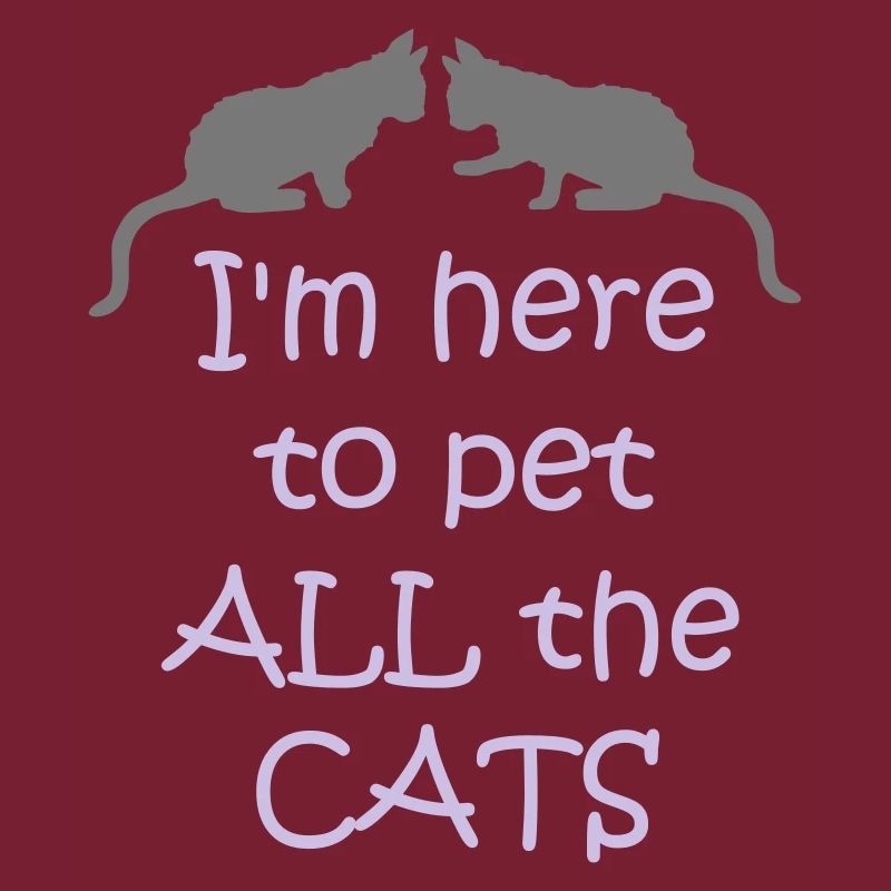 Animaux de compagnie tous les chats
