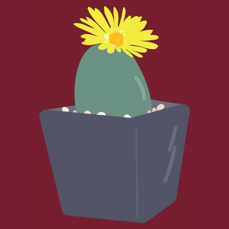 Lithops flower３