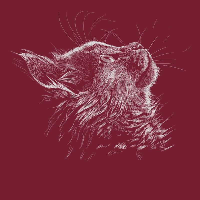 Kitten