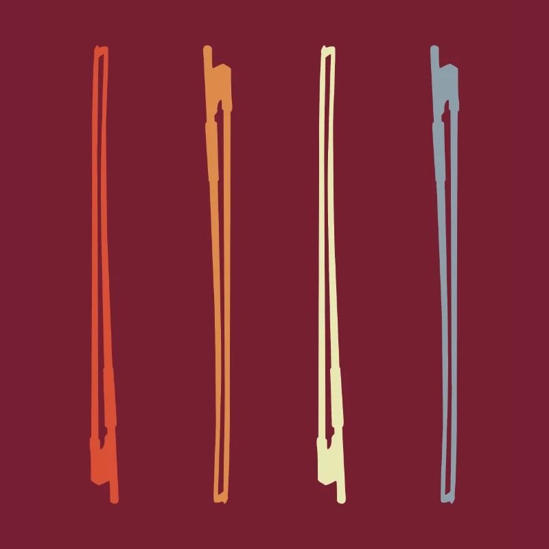 Violin Bow Drawing