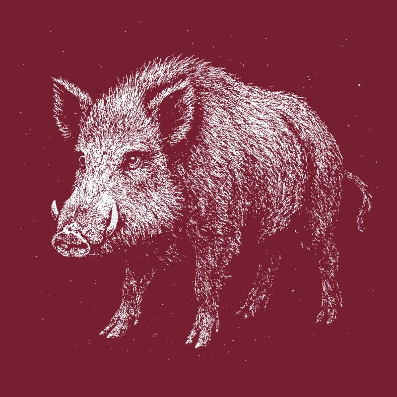 Wild boar