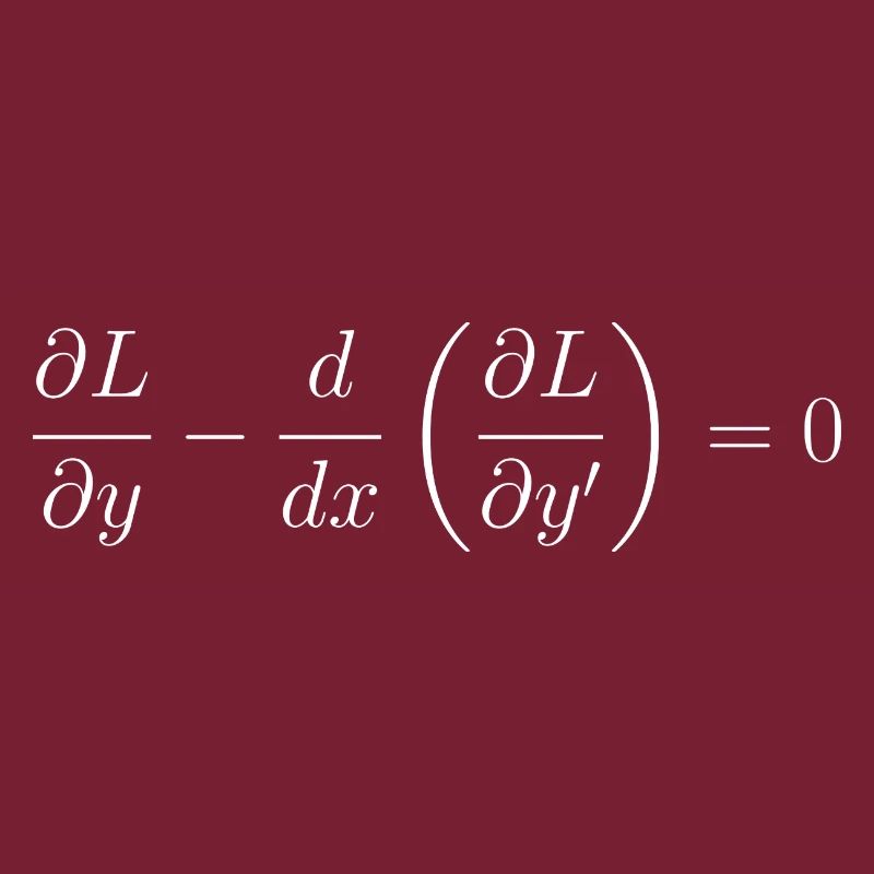 Euler-Lagrange-Gleichungsfundamentalphysik