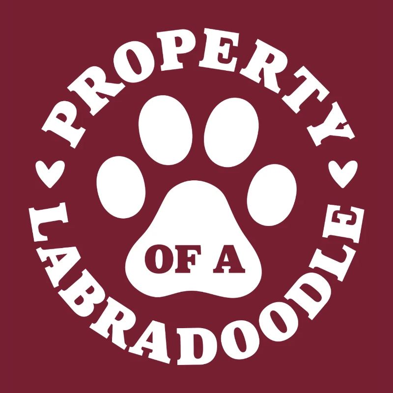Eigentum eines Labradoodles