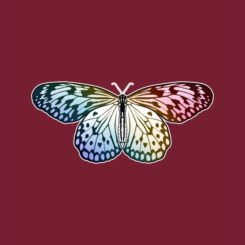 Schmetterling Regenbogen