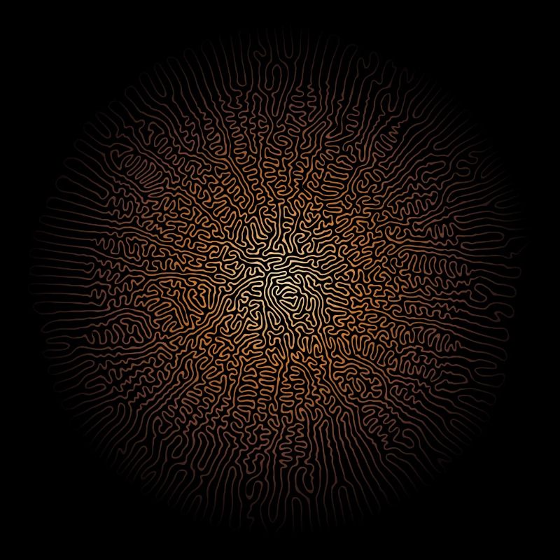 Mushroom Mycelium (Psychedelic Edition)
