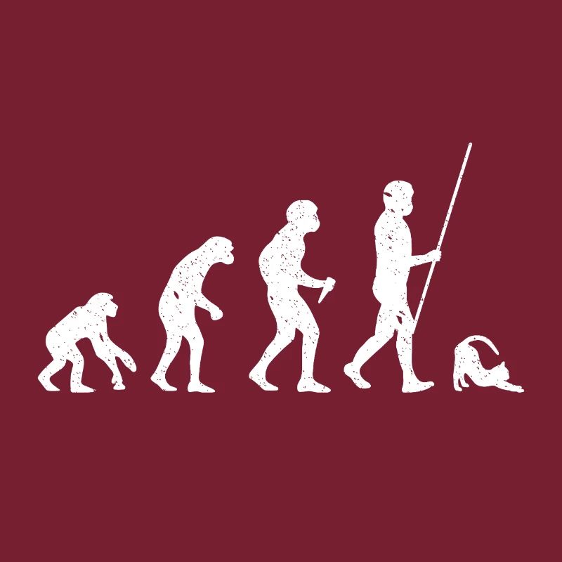 Évolution du chat