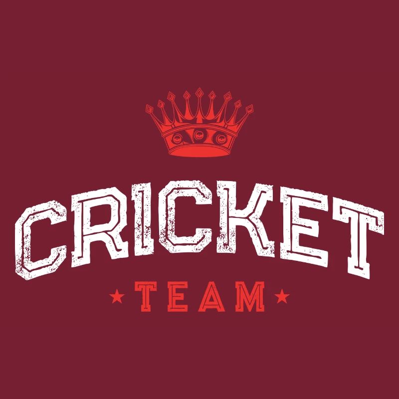 Équipe de cricket