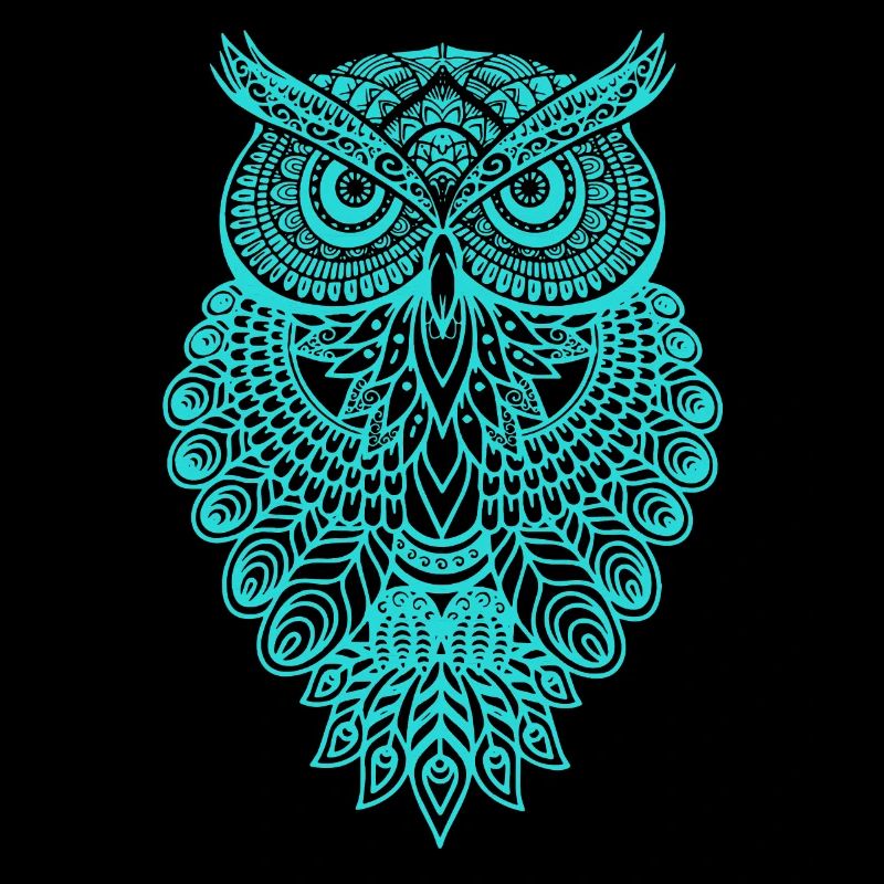 Owl Graphic Graphic Art Gift Mandala