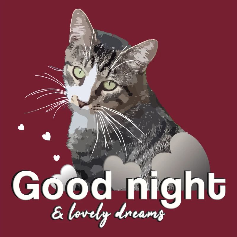 Schlafshirt gute Nacht good night