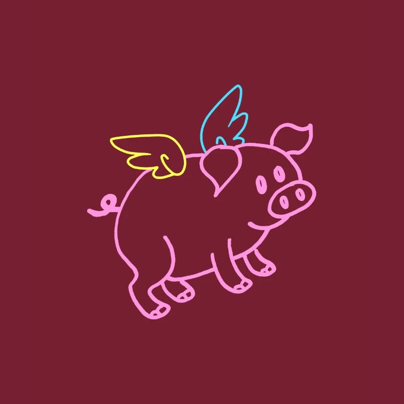 Fliegendes Schwein Tshirt Lustiges Geschenk
