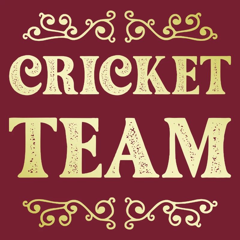 Équipe de cricket