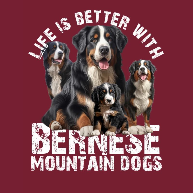 Bouvier bernois