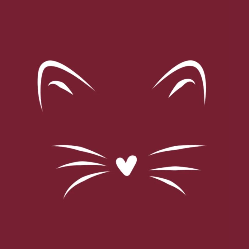 Katze Schnurrhaare Katzengesicht Geschenk