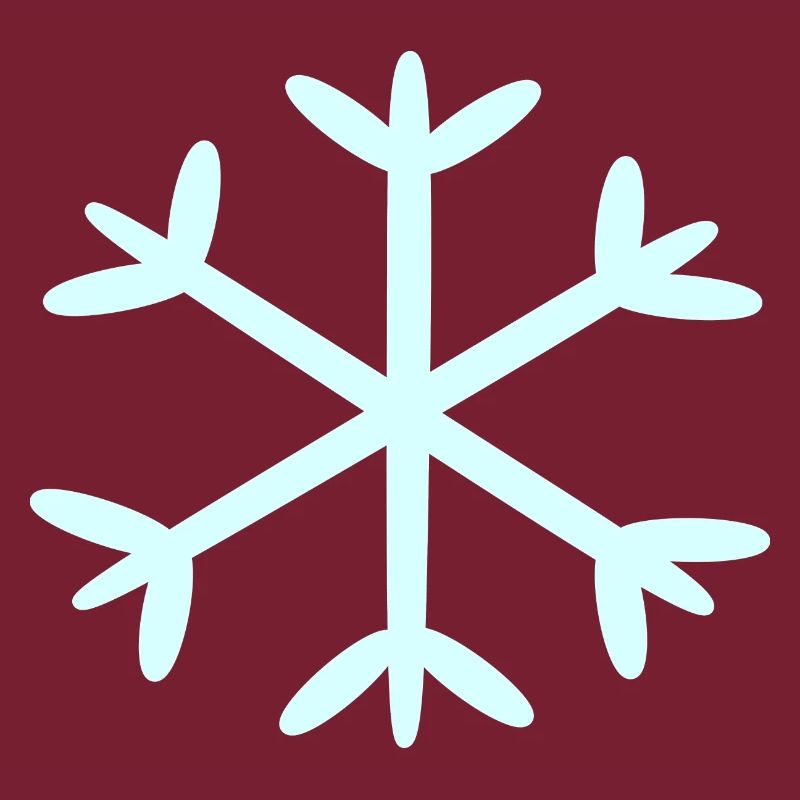 Flocon de neige Flocons de neige Noël