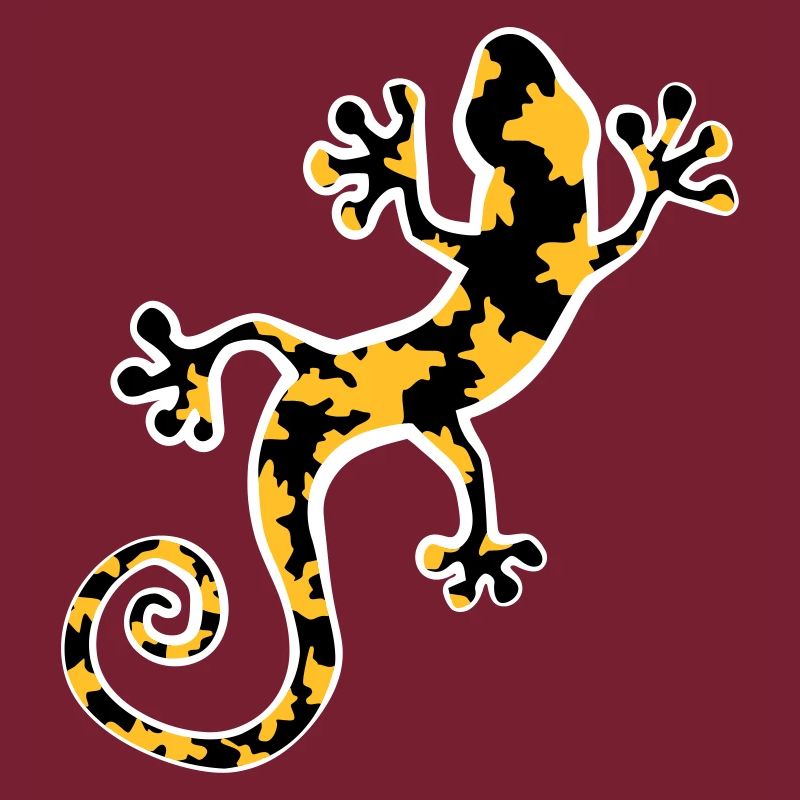 Yellow and black spotted leopard gecko