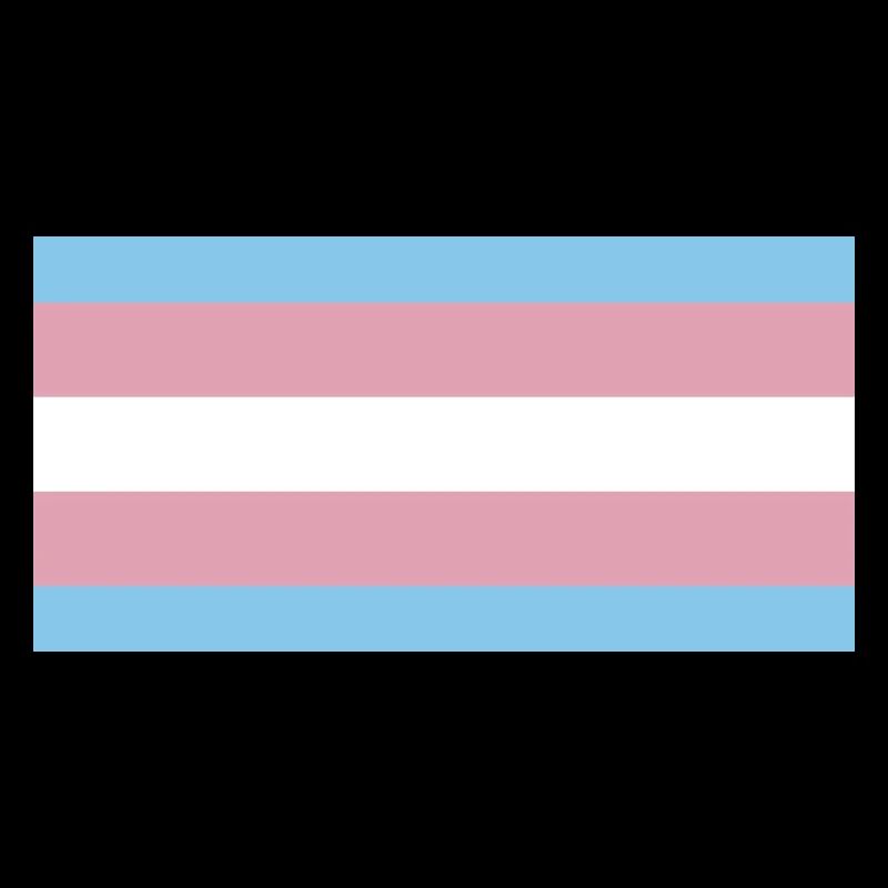 Fierté trans