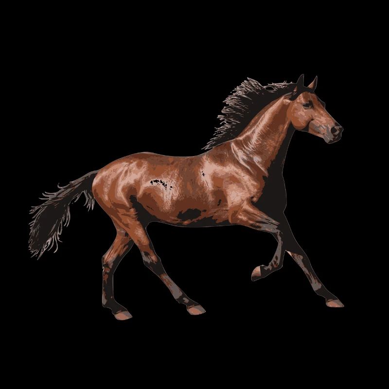 amour de cheval