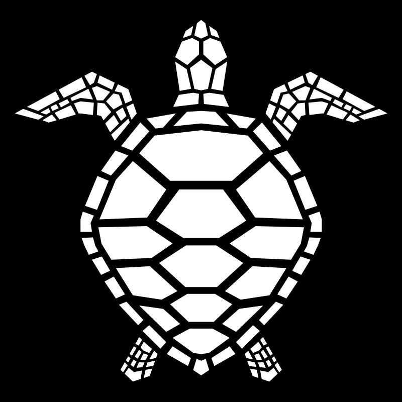 sea turtle