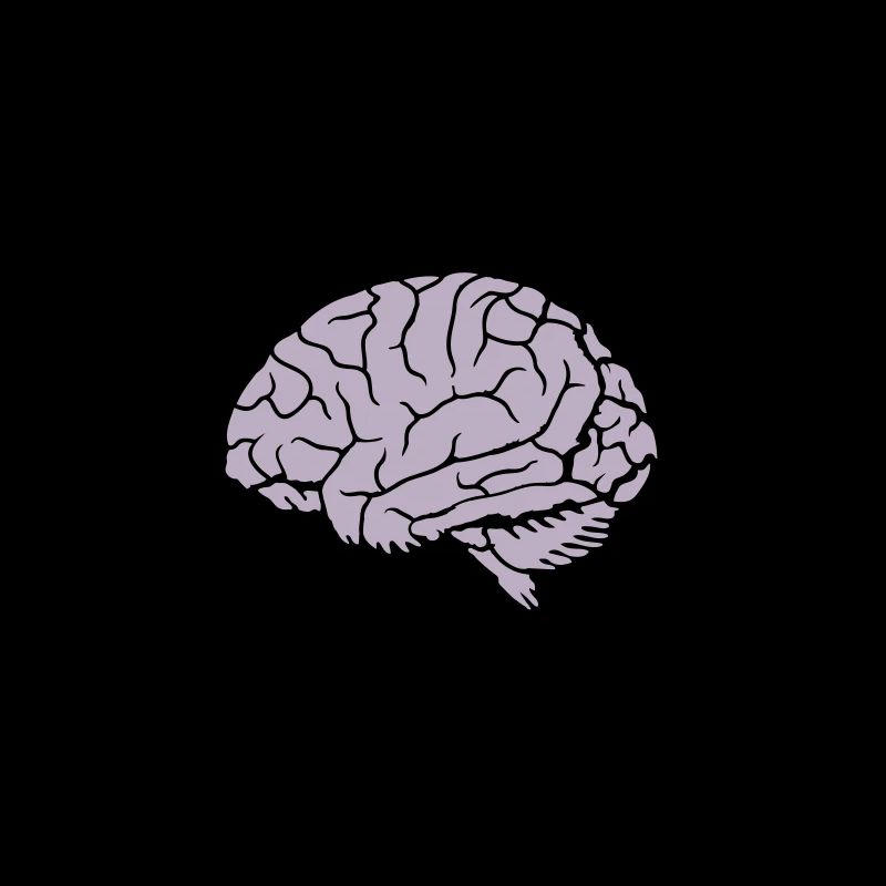 Heartbeat Pulse Brain