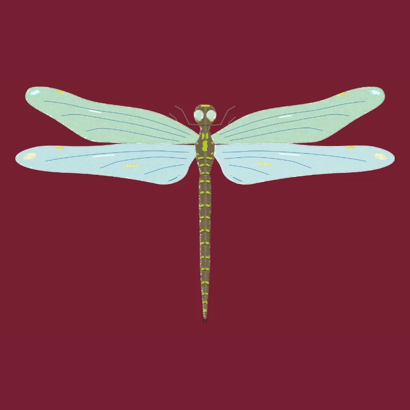 Libellule, insecte, coloré