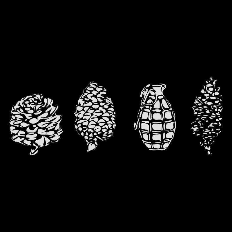 Grenade / Sapin cône