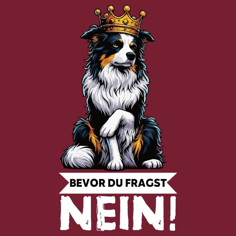 Bevor Du Fragst Australian Shepherd Aussie Aussie