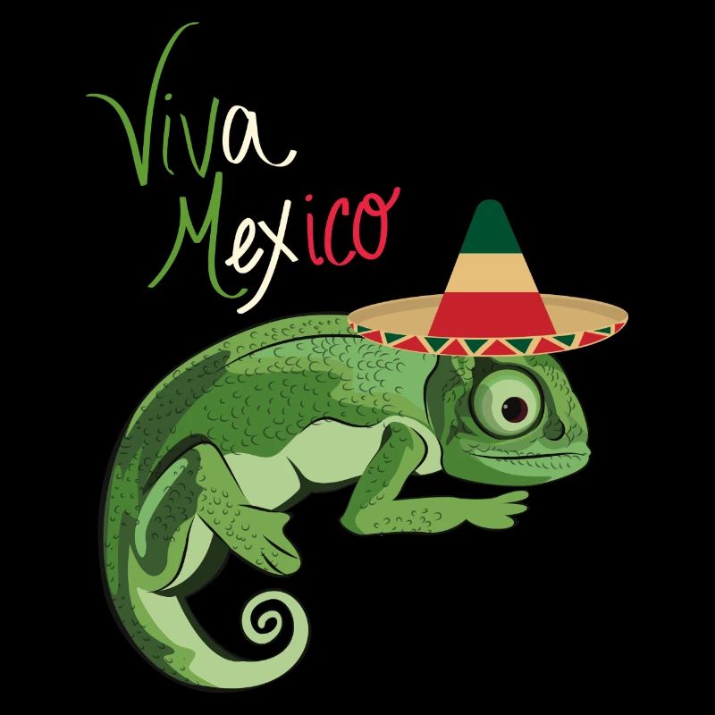 Viva Mexique Sombrero