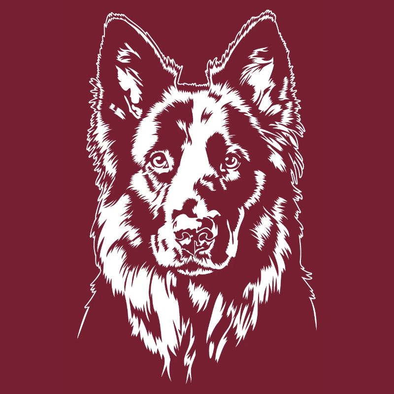 Deutscher Schwarzer Schäferhund Portrait Wilsigns