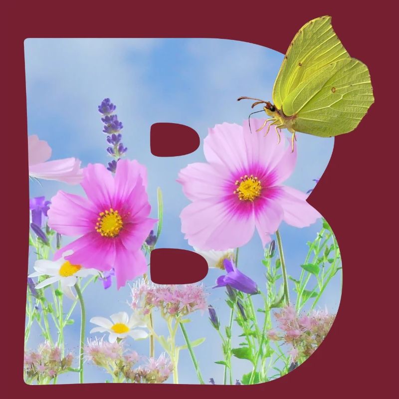 fleurs de printemps papillon b
