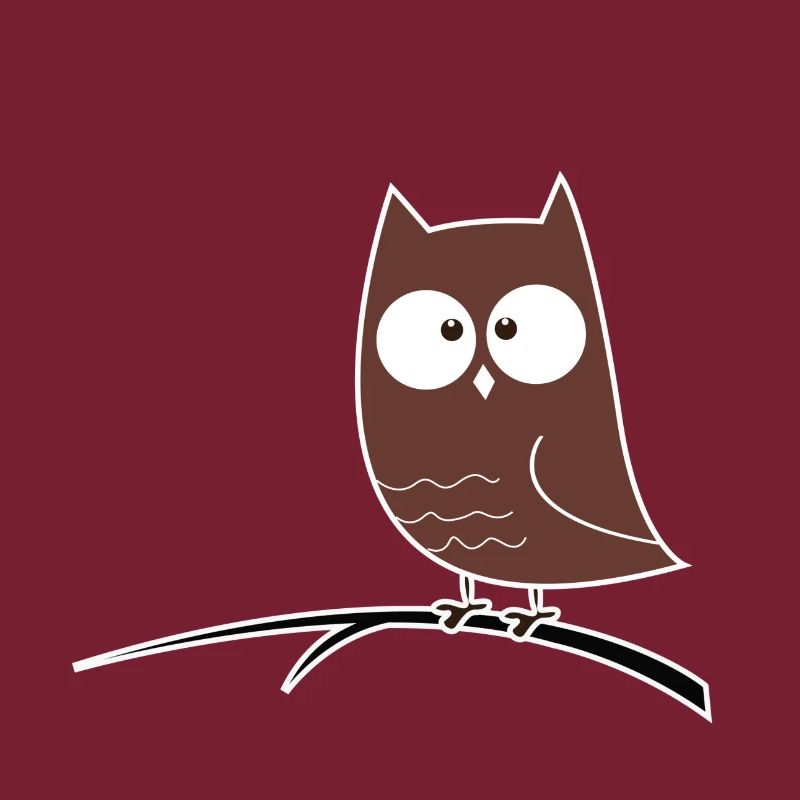 Schielende Eule Geschenk Idee