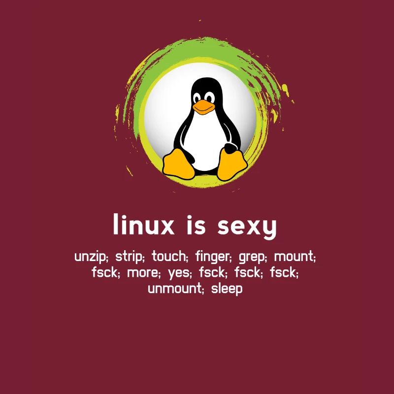 Computer System Penguin Nerd pc inside code admin