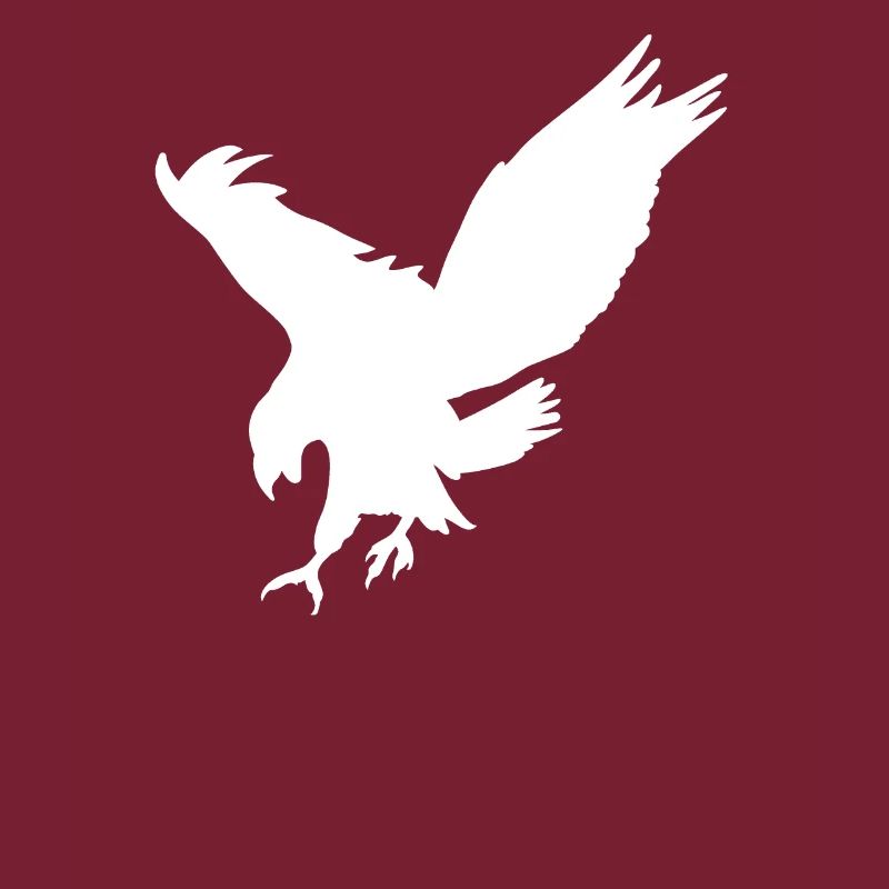 The white eagle