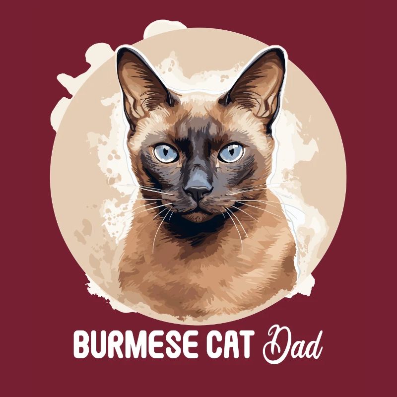 Chat birman Birmanie Katze