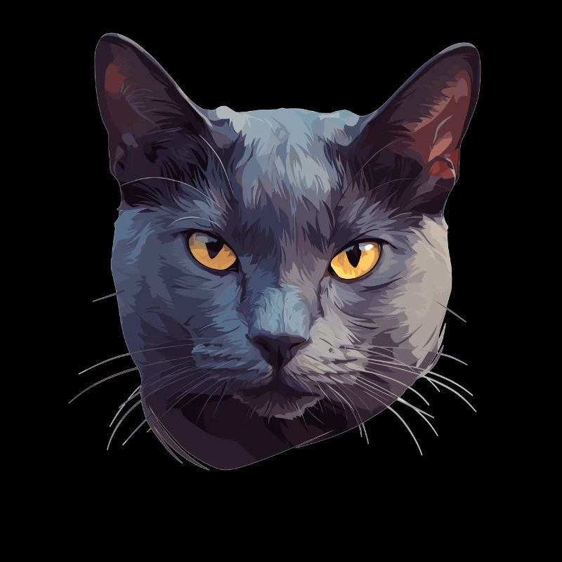 Chat bleu russe Russisch Blau Katze