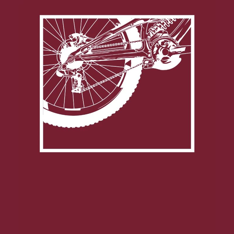 Roue arrière de vélo