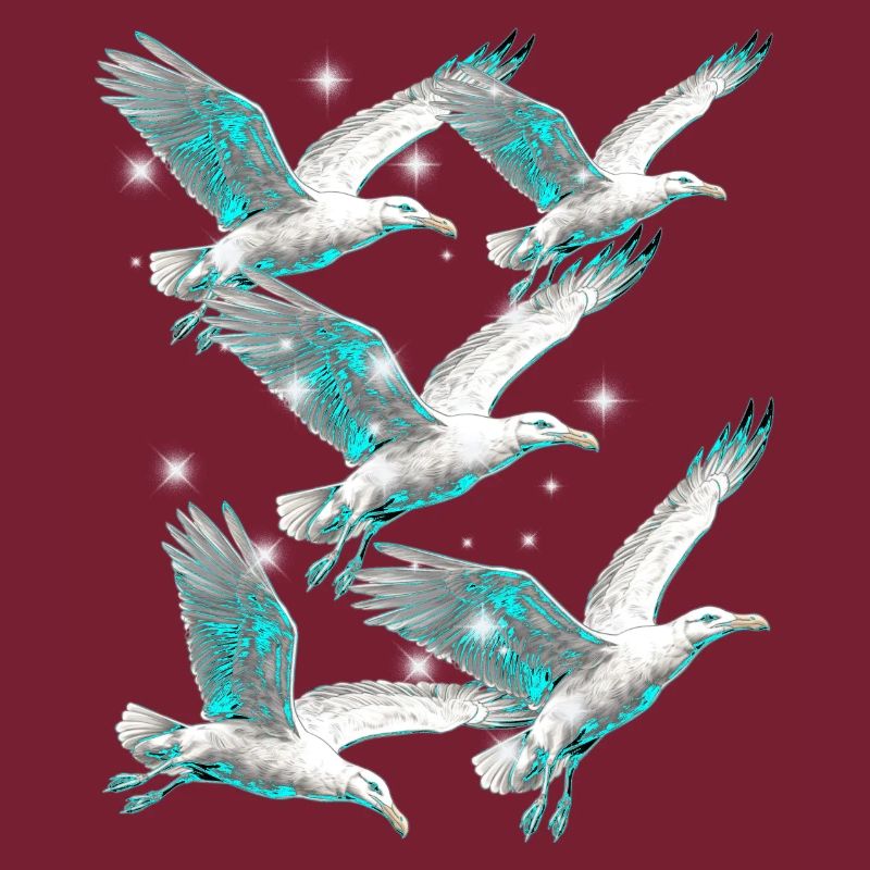 Maritim Möwe Möwen Seevögel
