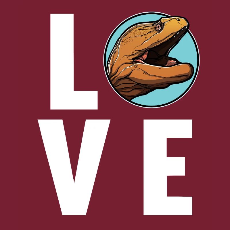 Moray eels Moray eel