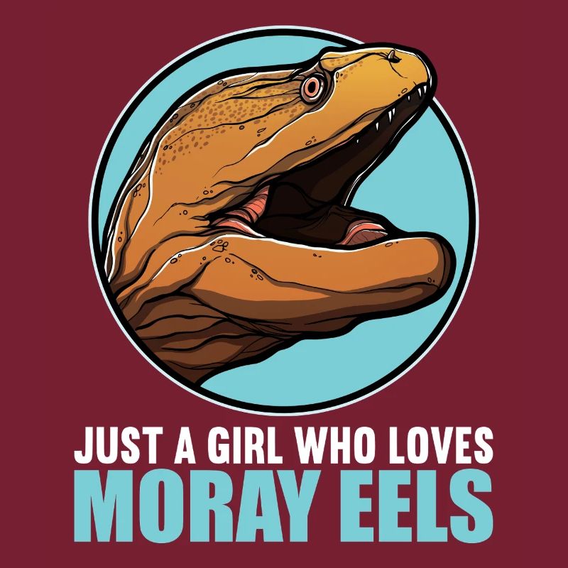Moray eels Moray eel