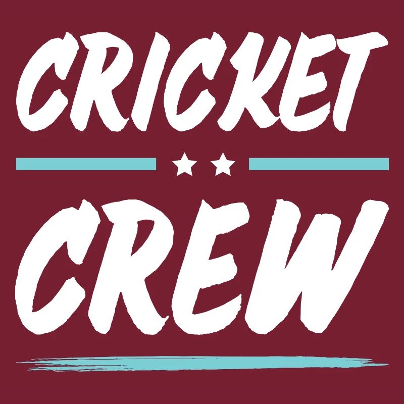 Équipe de cricket