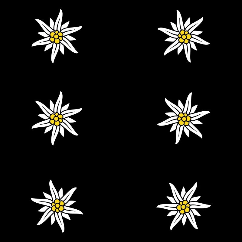 Dirndl Schuerze Edelweiss