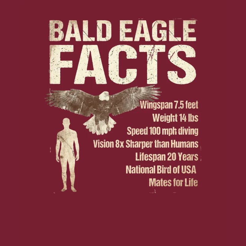Bald Eagle Facts Bald Eagle Info