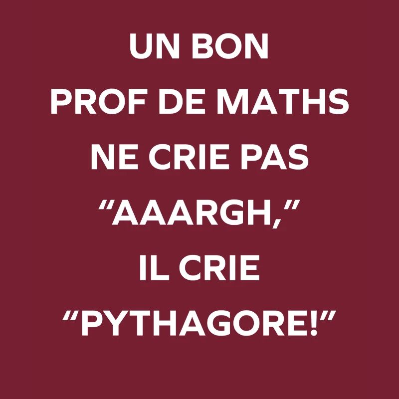 Prof de maths crie Pythagore