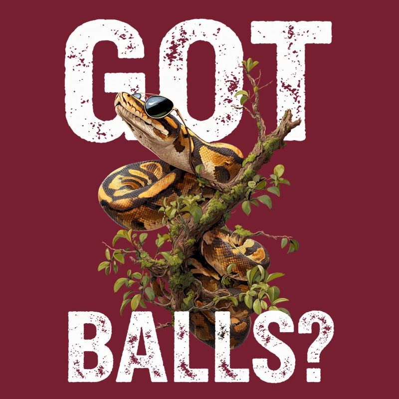 Python roi Serpents Amateurs de terrarium Python