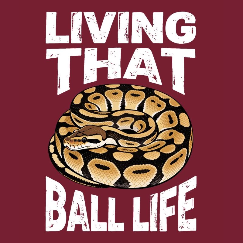 Python roi Serpents Amateurs de terrarium Python