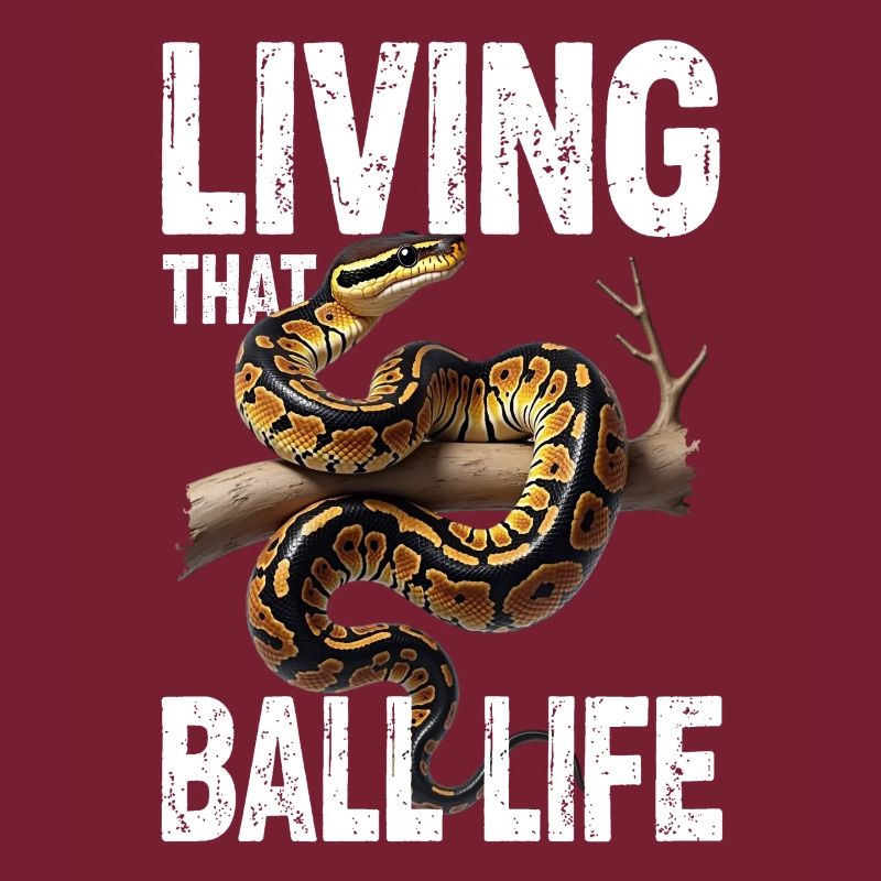 Python roi Serpents Amateurs de terrarium Python