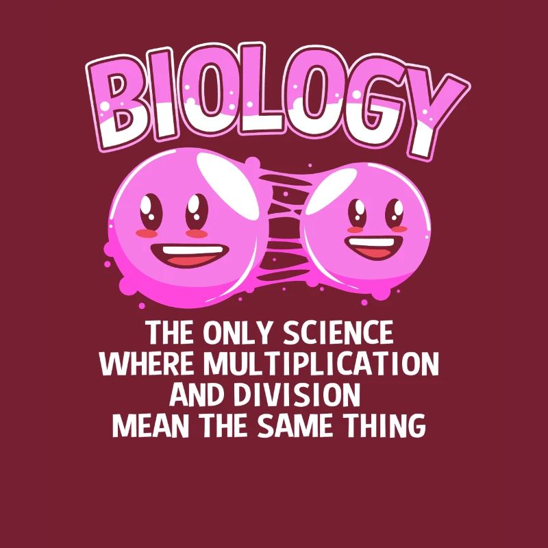 Molecule Structural Formula